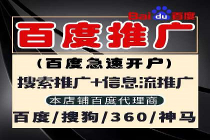 百度推广成功案例分析